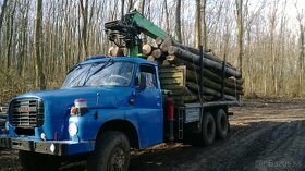 Výškové práce s plošinou-spilovanie stromov,maliarske práce - 9