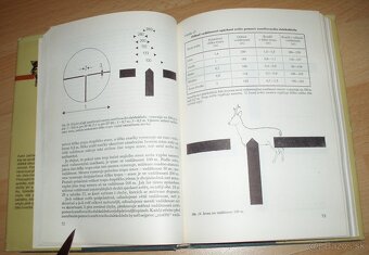 Lovecká střelba - 9