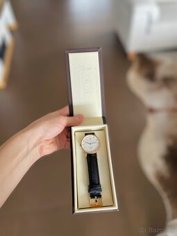 Daniel Wellington hodinky - 9