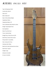 Kiesel Aries A6X - 9