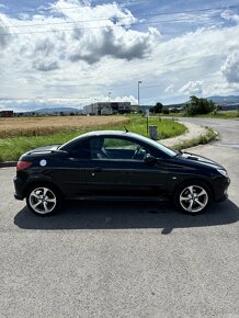 Peugeot 206 - 9