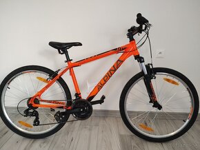 Bicykel Alpina ECO M10 - 9