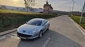 Peugeot 407 Coupé 2.7 HDI - 9