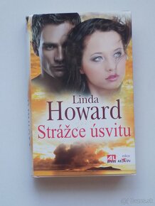 Detektívky- Dan Brown,Linda Howard,Crais,La Motte a iný - 9