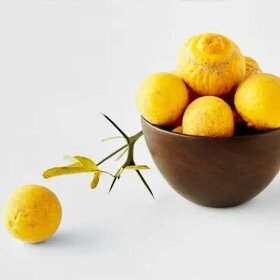 Vonkajší CITRUS do-27℃ 5€ - AKCIA 3+1 - 9