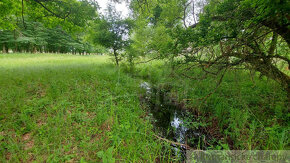 Lesný pozemok 37 000 m2 - 3,7 ha v obci Borský Mikuláš, 60 - 9