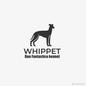 Whippet s pp,vipet - 9