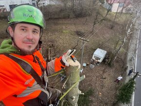 Výrub stromov, pílenie stromov, rizikové pílenie, frézovanie - 9