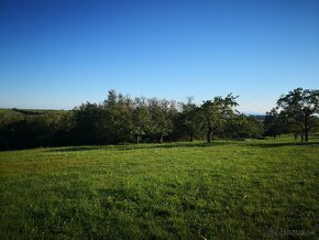 Predam pozemok o veľkosti 7609m2 Krupina časť Kopanice - 13. - 9