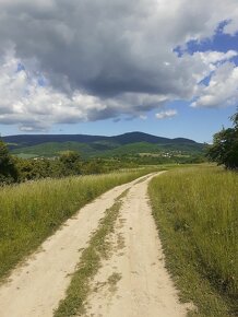 Chalupa - dom v usadlosti na kopaniciach, Moravské Lieskové - 9