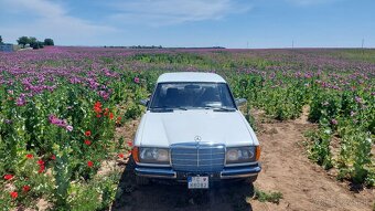 Mercedes w123  200d - 9