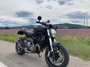 Ducati Monster 821 - 9