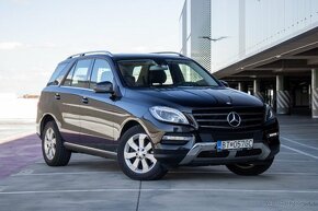 Mercedes-Benz ML250/ 4MATIC/ Slovenský pôvod/ - 9