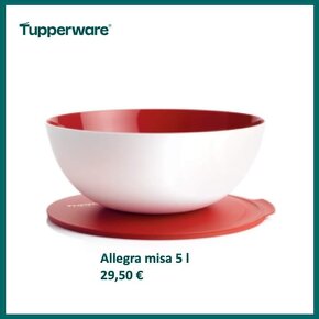 Misky Allegra Tupperware - 9