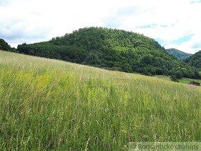 VÄČŠÍ POZEMOK S VÝHĽADOM NAD OBCOU ZÁSKALIE PRI POVAŽSKEJ - 9