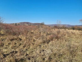 EXKLUZÍVNE PREDAJ POZEMKU PEZINOK MALACKÁ CESTA - 9