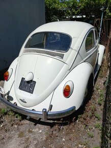 Vw chrobak 1962 - 9