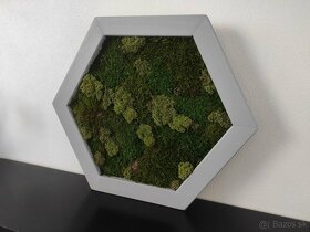 Predám obraz z machu: Hexagon šedý M (50 x 45 cm) - 9