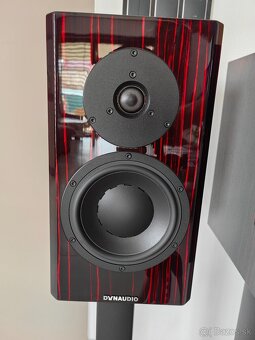 Dynaudio Special Forty Black Vine vysoký lesk - 9