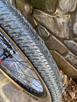 CTM dirtking PRO 2020 - 9