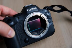 Canon EOS R6 Mark II - 9