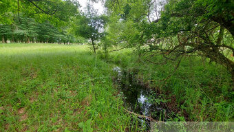 Lesný pozemok 37 000 m2 - 3,7 ha v obci Borský Mikuláš, 60 - 9