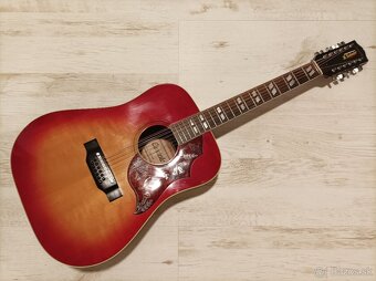 12 strunová gitara Concorde WT-65H - 9