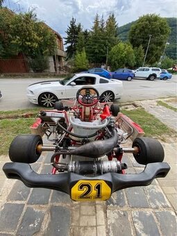 Motokára Birel Art  KZ2 - 9