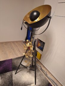 Svietenia lampa - 9