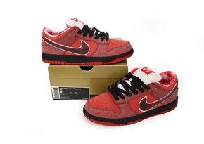 Nike SB Dunk Low Red Lobster - 9