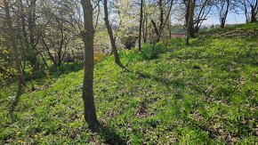 STAVEBNÝ POZEMOK PRE RD - ulica Surdok, PREŠOV - 9