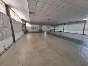 Prenájom výrobno-skladovej haly na Južnej triede, 1630 m2. - 9