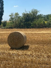 Slama a lucerka pre zvieratá - 9