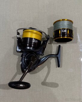 Sportex, Daiwa - 9