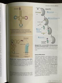 Campbell Biologia - 9