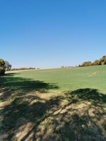 Pozemok v pokojnom prostredí 1401m2 - Veľké Hoste na predaj - 9