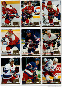 Ultra Fleer 94-95 - 9