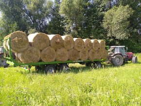 Agrosluzby, Poľnohospodárske služby, Lesnícke služby - 9