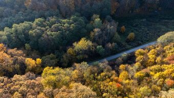 Kamenné (Košice) - 1.772 m2 LES v podiele 1/1 - 9