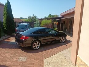 Peugeot 407 coupe 2.0 HDI - 9