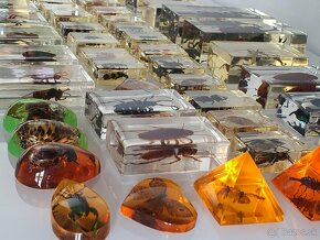 Veľká zbierka hmyzu a malých zvieratiek, 52 ks - 9