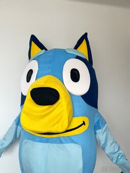 Maskot/kostým pes Bluey - 9