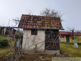 Chatka s viničom a priestrannou pivnicou v lukratívnej čas - 9