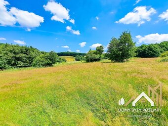 Veľkorysý, 2,5 ha pozemok za výbornú cenu - 9