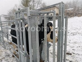 Ohradníky pre mäsový typ dobytka   vyššia pevnosť VÝROBA - 9