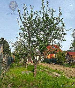 NA PREDAJ - Záhrada s murovanou chatkou v Nových Zámkoch - 9