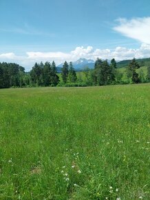 Pozemky pod Magurou s výhľadom na Tatry - 9