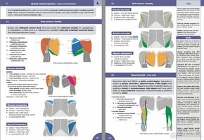 učebnice anatómie - medicína - 9