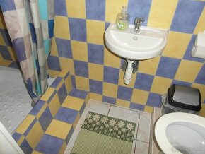 Predaj, apartmánový dom s chatkami, Podhájska - 9