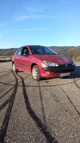 Peugeot 206 2.0 hdi - 9